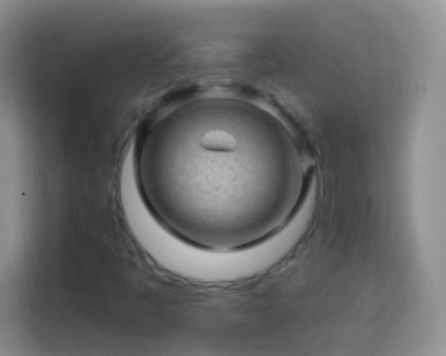 X0000113861445200910011011