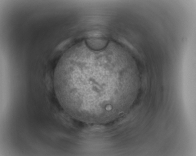 X0000113861446200910011011