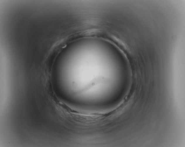 X0000113861447200910011011