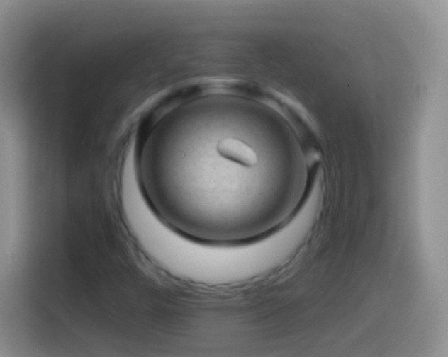 X0000113861448200910011011