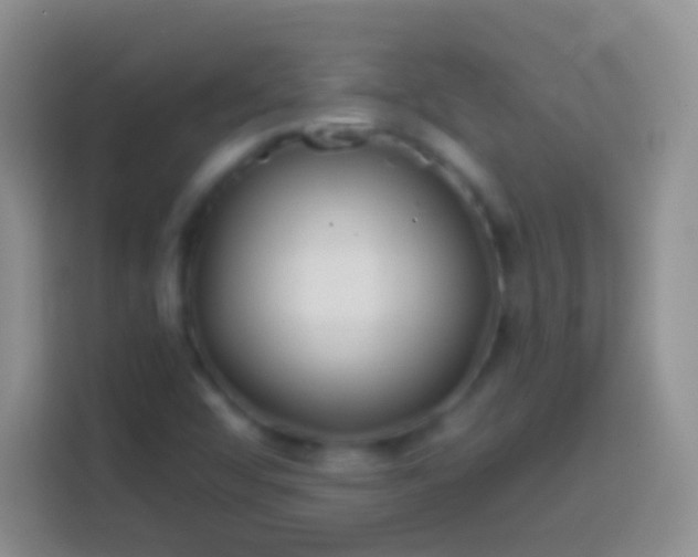 X0000113861456200910011011