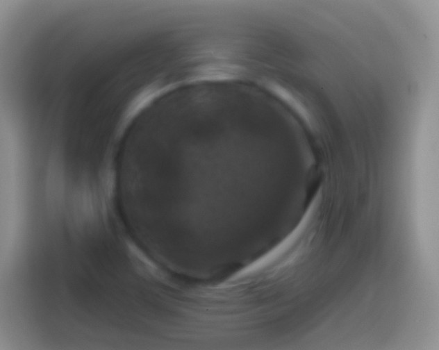 X0000113861459200910011011