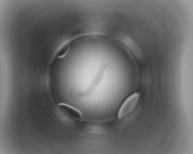 X0000113861460200910011011