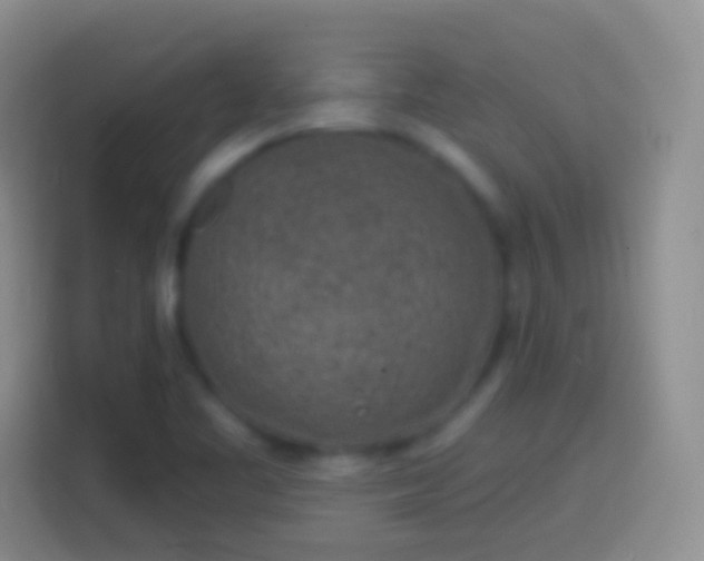X0000113861461200910011011