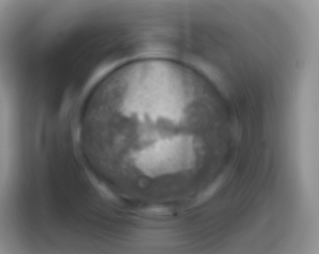 X0000113861462200910011011