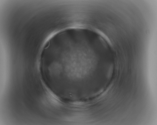 X0000113861463200910011011
