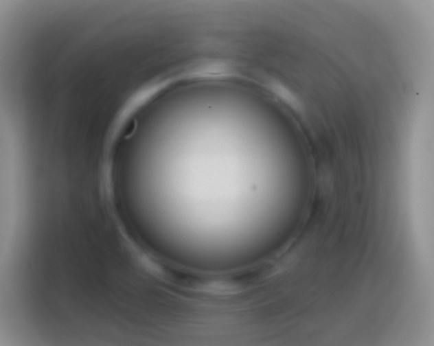 X0000113861464200910011011