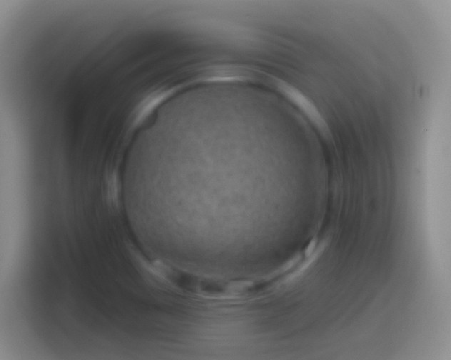 X0000113861465200910011011