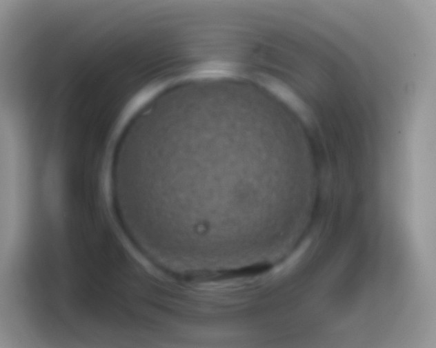 X0000113861469200910011011