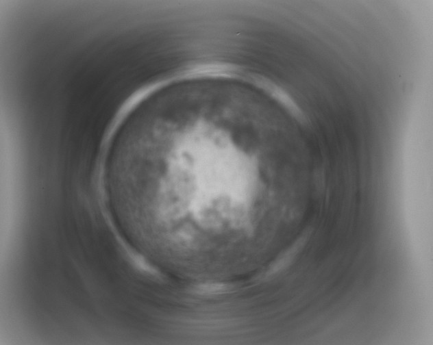 X0000113861470200910011011