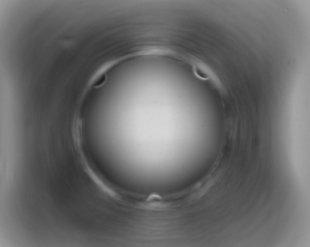 X0000113861476200910011011