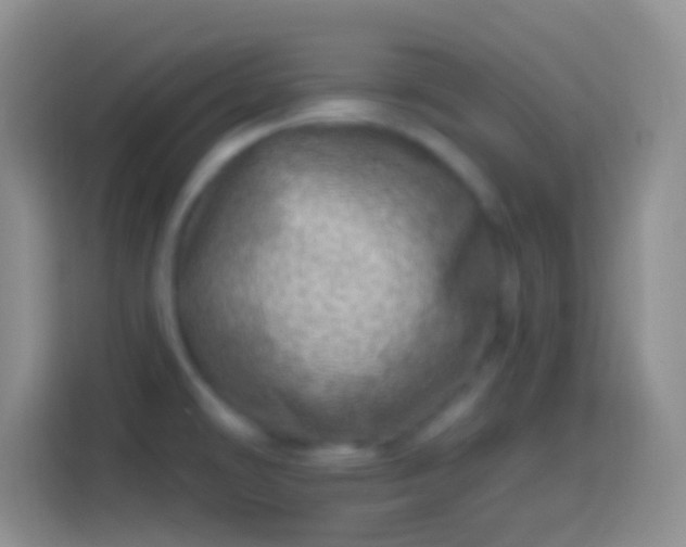 X0000113861478200910011011
