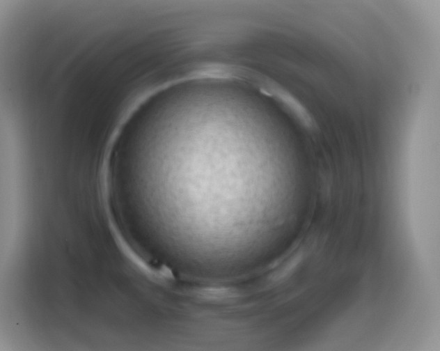 X0000113861479200910011011