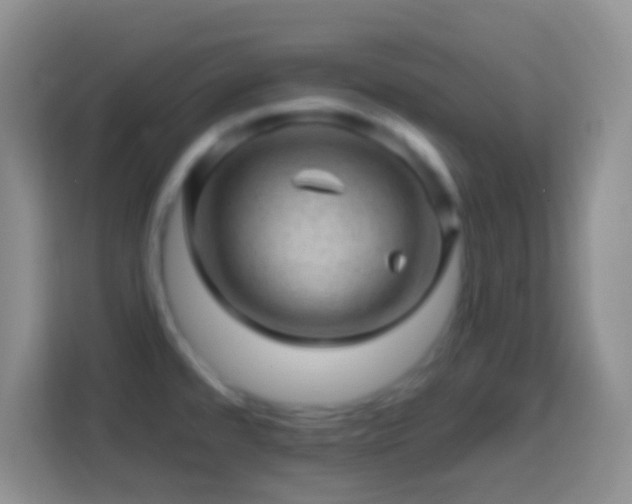 X0000113861480200910011011