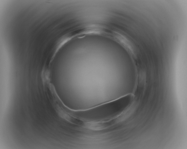 X0000113861481200910011011