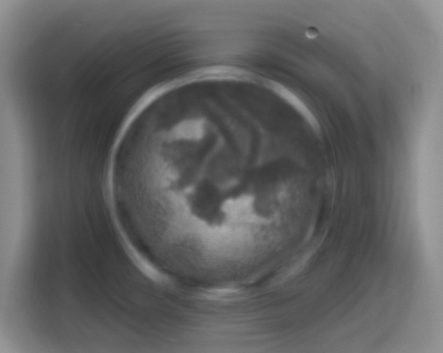 X0000113861482200910011011