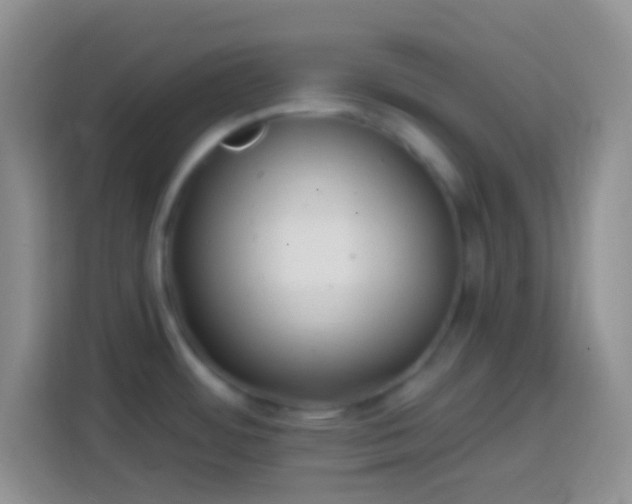 X0000113861484200910011011