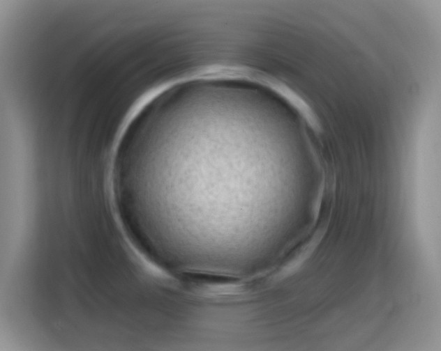 X0000113861486200910011011
