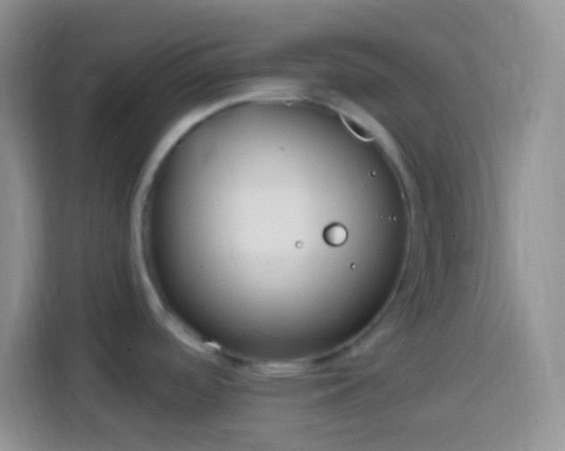 X0000113861488200910011011