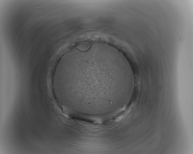 X0000113861489200910011010