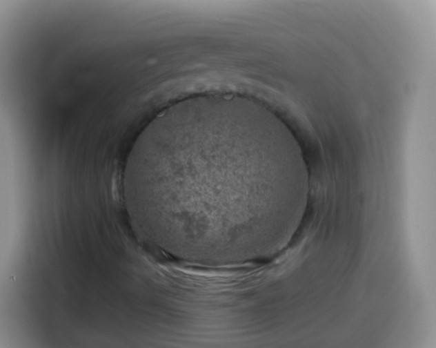 X0000113861490200910011010