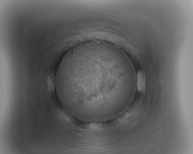 X0000113861491200910011010