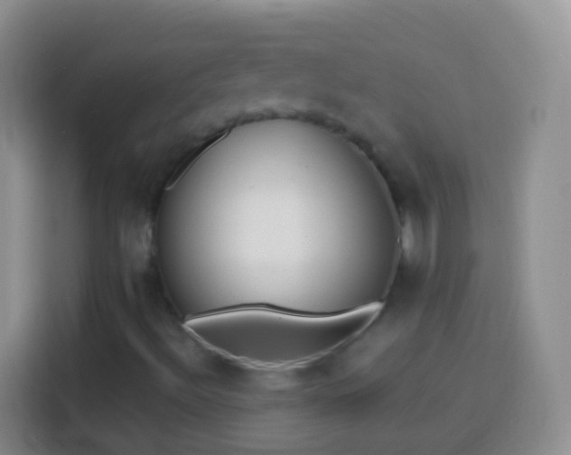 X0000113861492200910011010