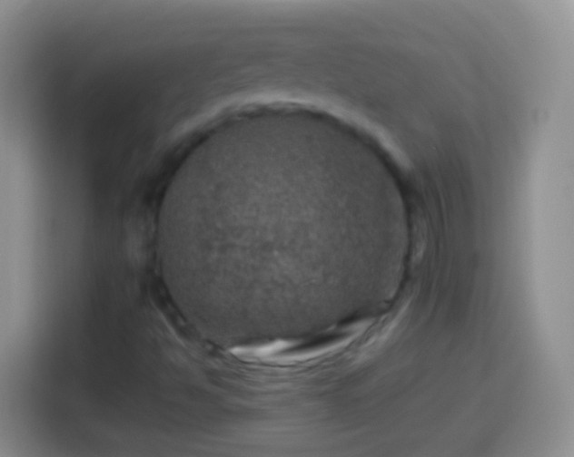 X0000113861494200910011010