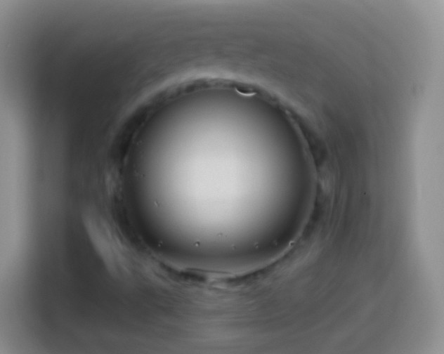 X0000113861495200910011010