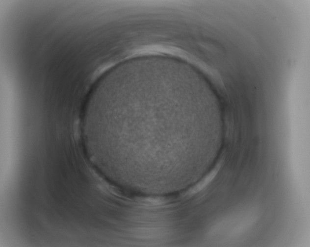 X0000113861497200910011010