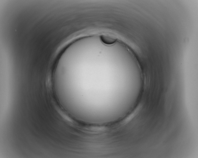 X0000113861498200910011010