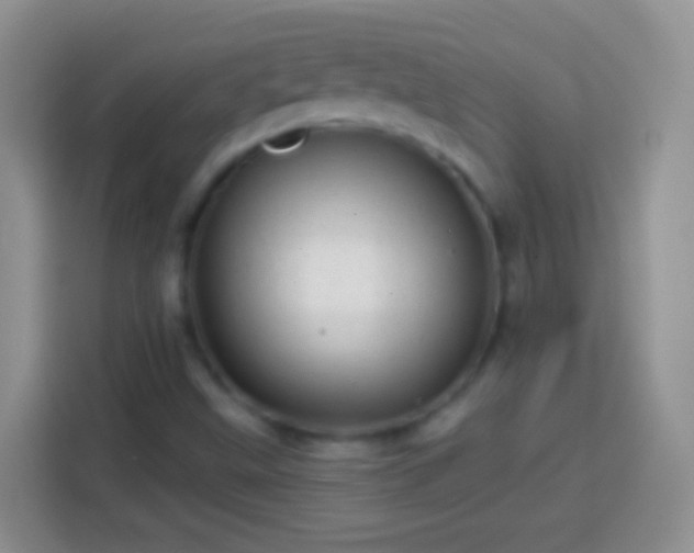 X0000113861499200910011010