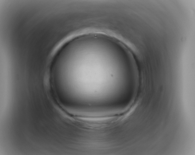 X0000113861502200910011010