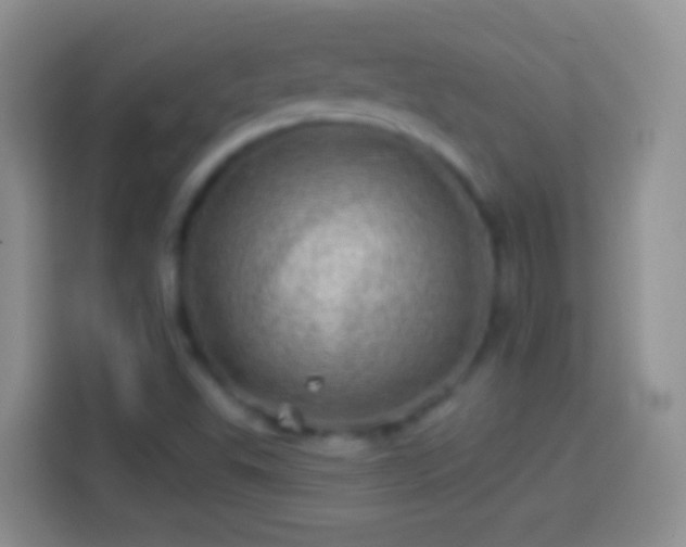 X0000113861503200910011010