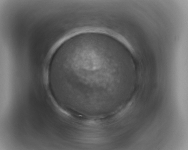 X0000113861504200910011010