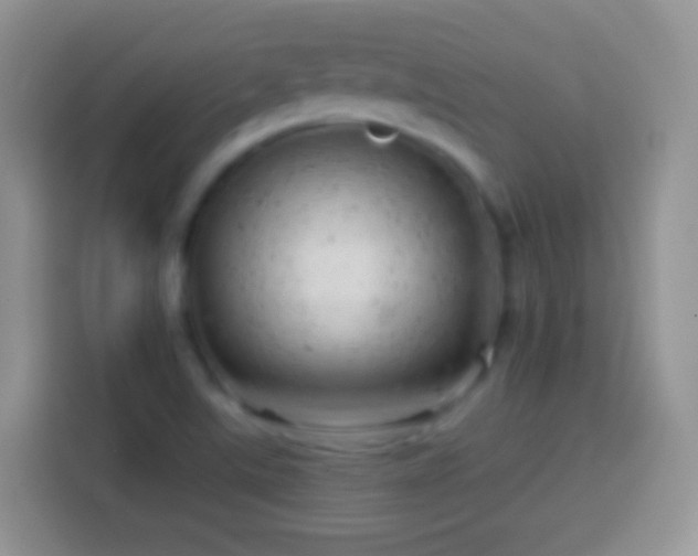 X0000113861507200910011010