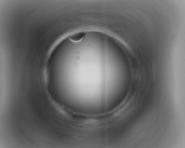 X0000113861510200910011010
