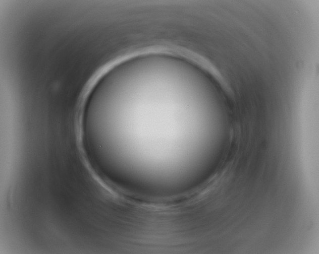 X0000113861512200910011010