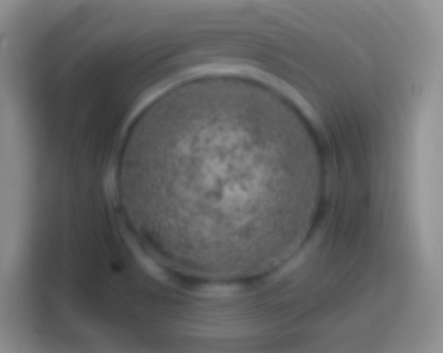 X0000113861513200910011010