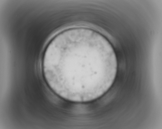X0000113861514200910011010