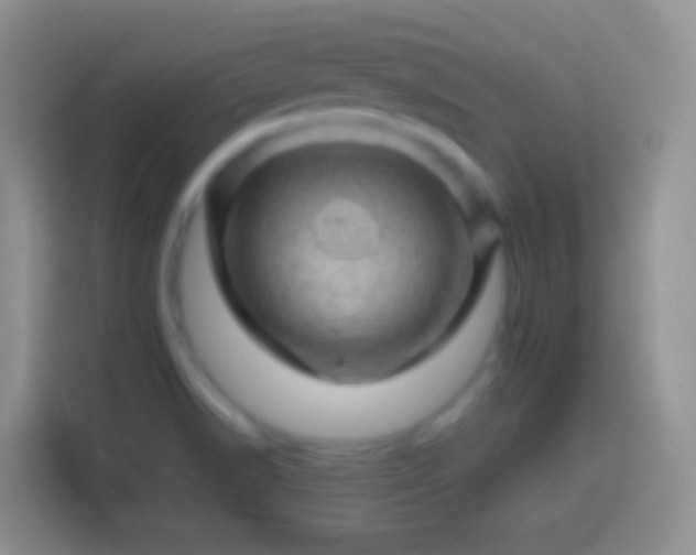 X0000113861518200910011011
