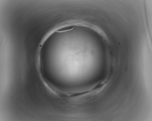 X0000113861520200910011011