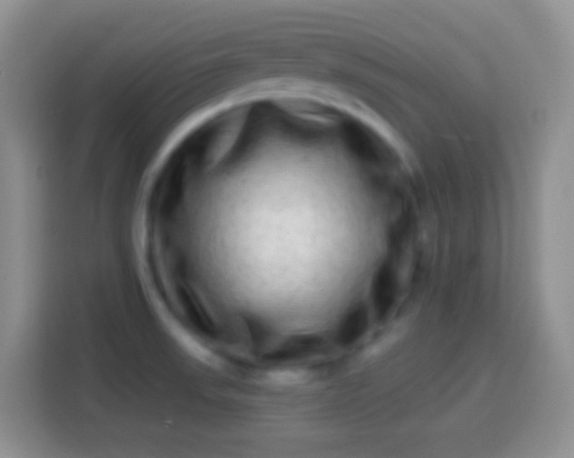 X0000113861523200910011011