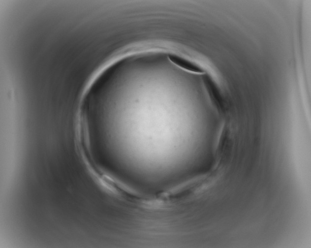 X0000113861524200910011011