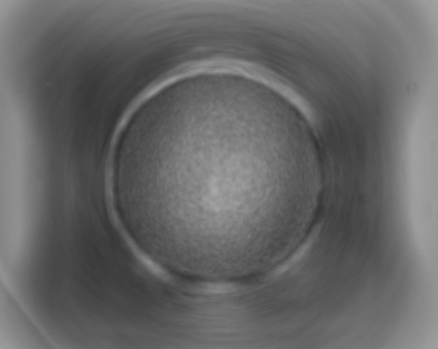 X0000113861525200910011011