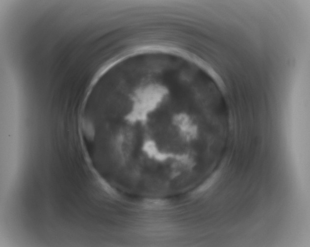 X0000113861529200910011011