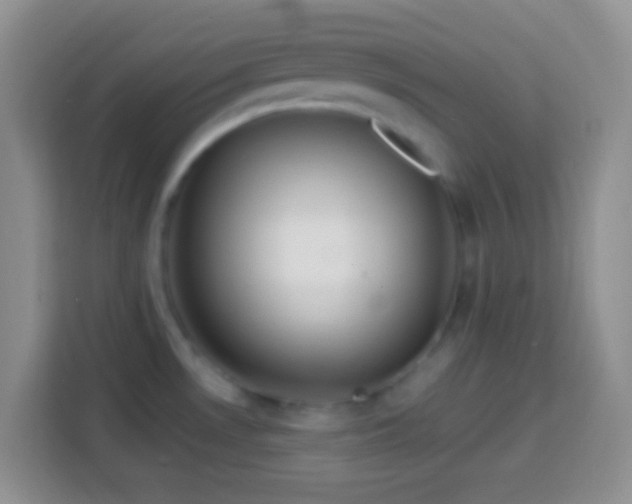 X0000113861530200910011011