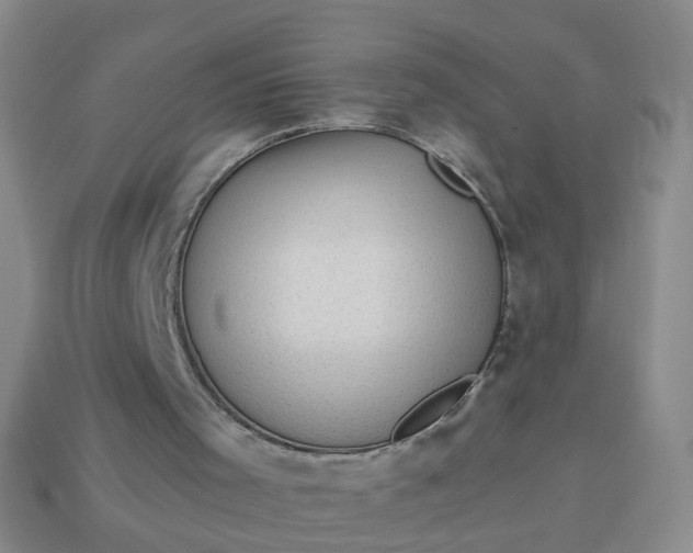 X0000113860001200910081715