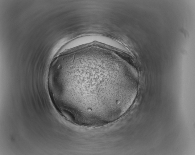 X0000113860003200910081715
