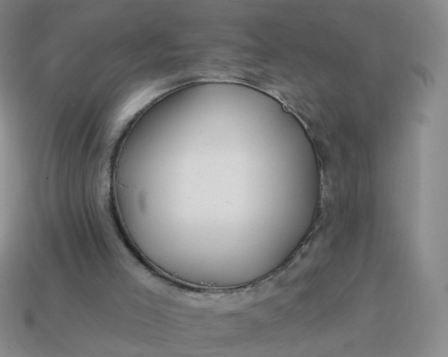 X0000113860005200910081715